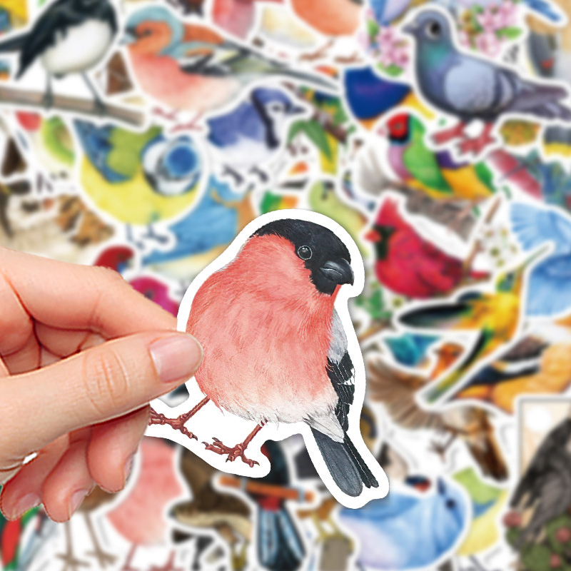 50PCS Watercolor Bird Graffiti - Phone Cases Kids ulasan dan harga
